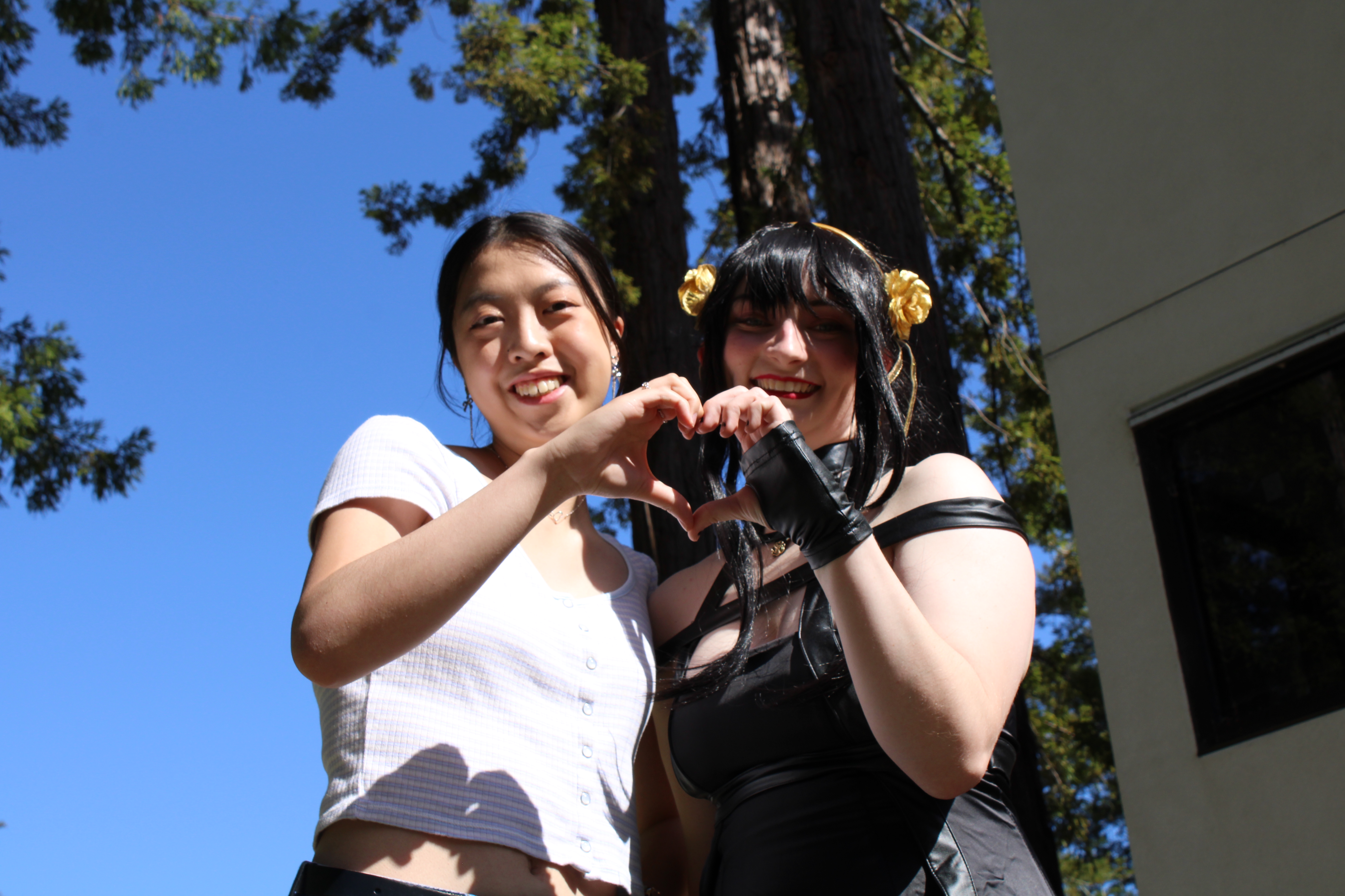two people holding their hands up in a heart against the sky